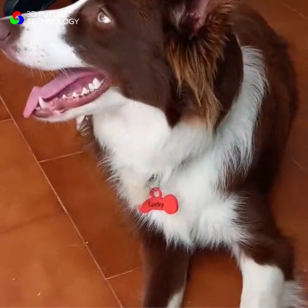 Chapa identificação para animal de estimação - Image 3