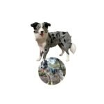 Miniatura Cão Personalizada - Pintada à Mão